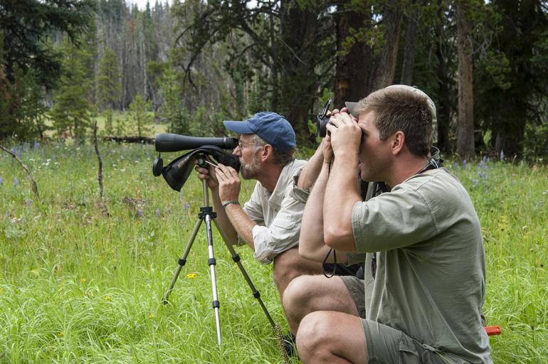 wolf watching, outdoor education