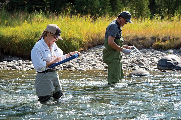 Photo by Rich Addicks Gallatin River Task Force, Gallatin River