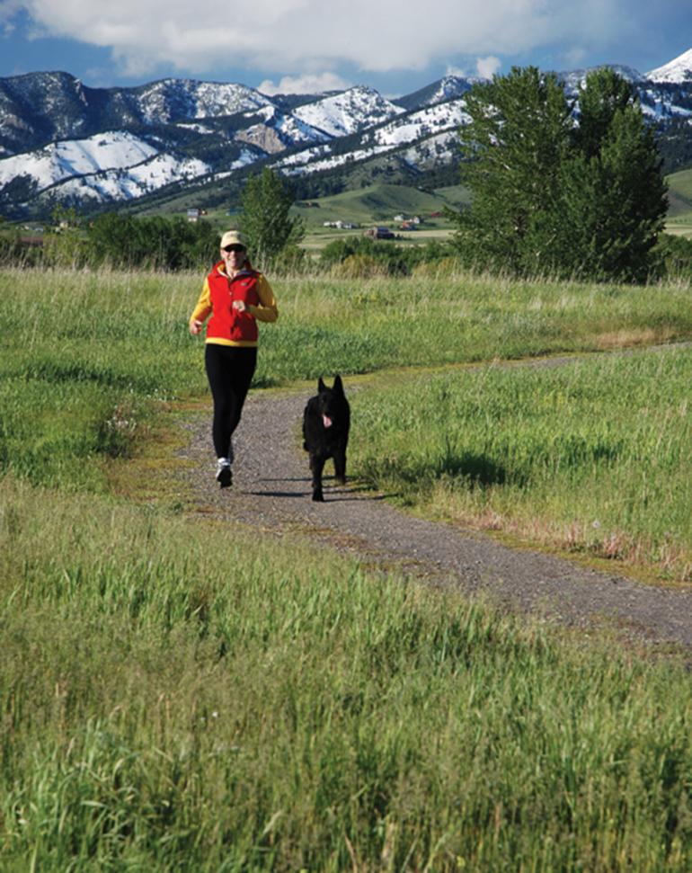 Courtesy GVLT Courtesy GVLT