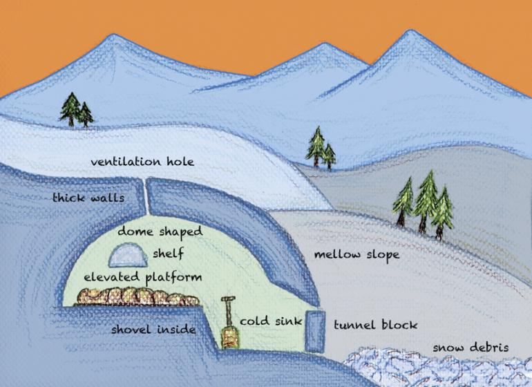 illustration by Ryan Krueger