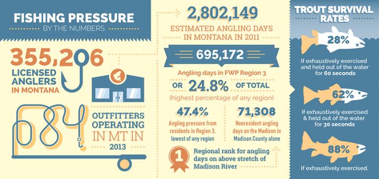 Fishing Pressure, by the numbers, catch and release, outside bozeman