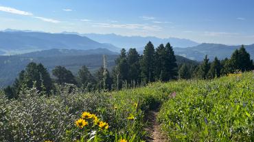 Chestnut Mountain Trail
