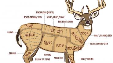 deer butchering diagram stalk 