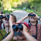 photo by Ian Roderer Bird Watching