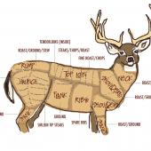 Illustration by Angie Mangels deer butchering diagram stalk