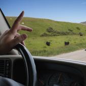 Photo by Simon Peterson dirt road wave