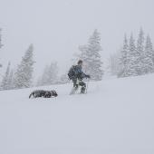 photo by Peter Ponca ski touring with dog