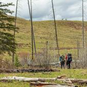 photo courtesy NPS backpacking yellowstone