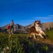 photo by Daniel teitelbaum Trail running with dog