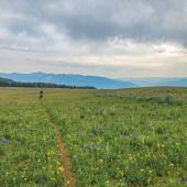 photo by Eli Fournier Biking Yellow Mule