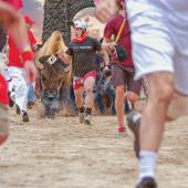 photo by Shannon Egens