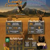 infographic by Melissa Doar