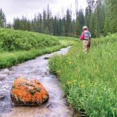 small-stream fishing, fly fishing in Montana, creek fishing