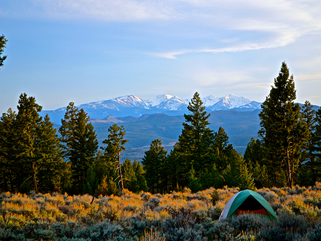 Camping, Bozeman, national forests