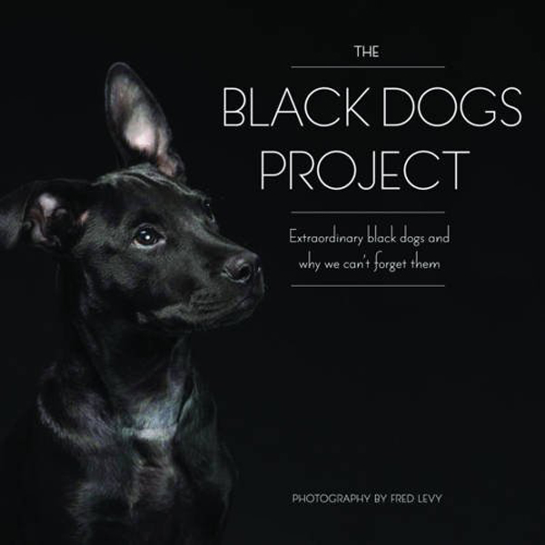 Black Dogs Project