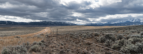 Photo by Zach Altman bison, ranching