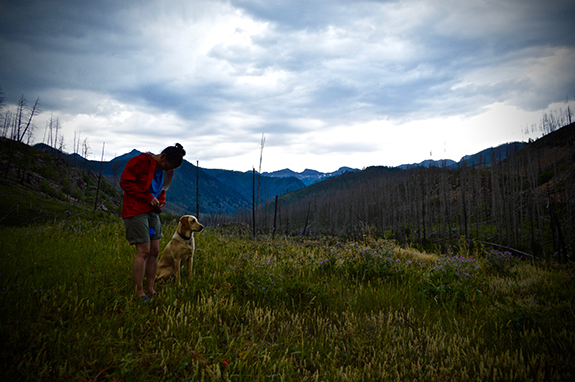 Photo by David Tucker Mill Creek, Paradise Valley, Absaroka-Beartooth Wilderness
