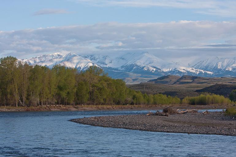 Photo by Dale Spartas  The Lower Yellowstone, Fly Fishing Yellowstone River