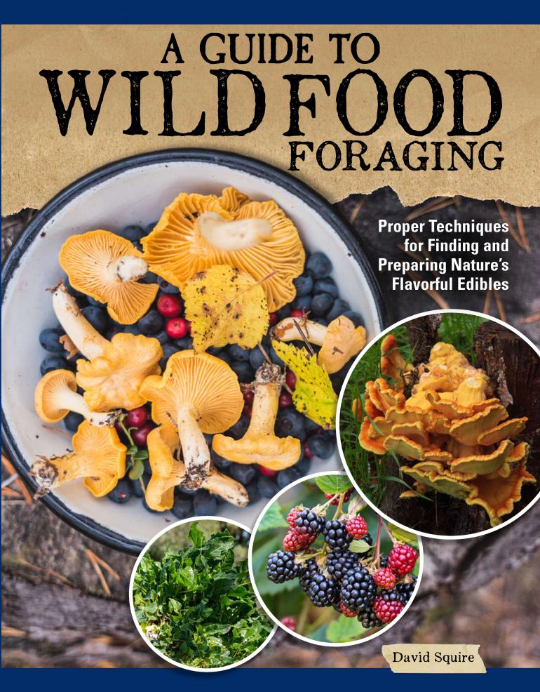 A guide to wild food foraging book