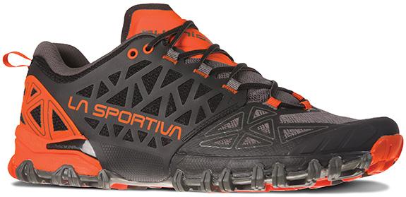 mountain shoe, La Sportiva