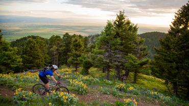 Corbly Gulch, Mountain Biking, Custer Gallatin National Forest